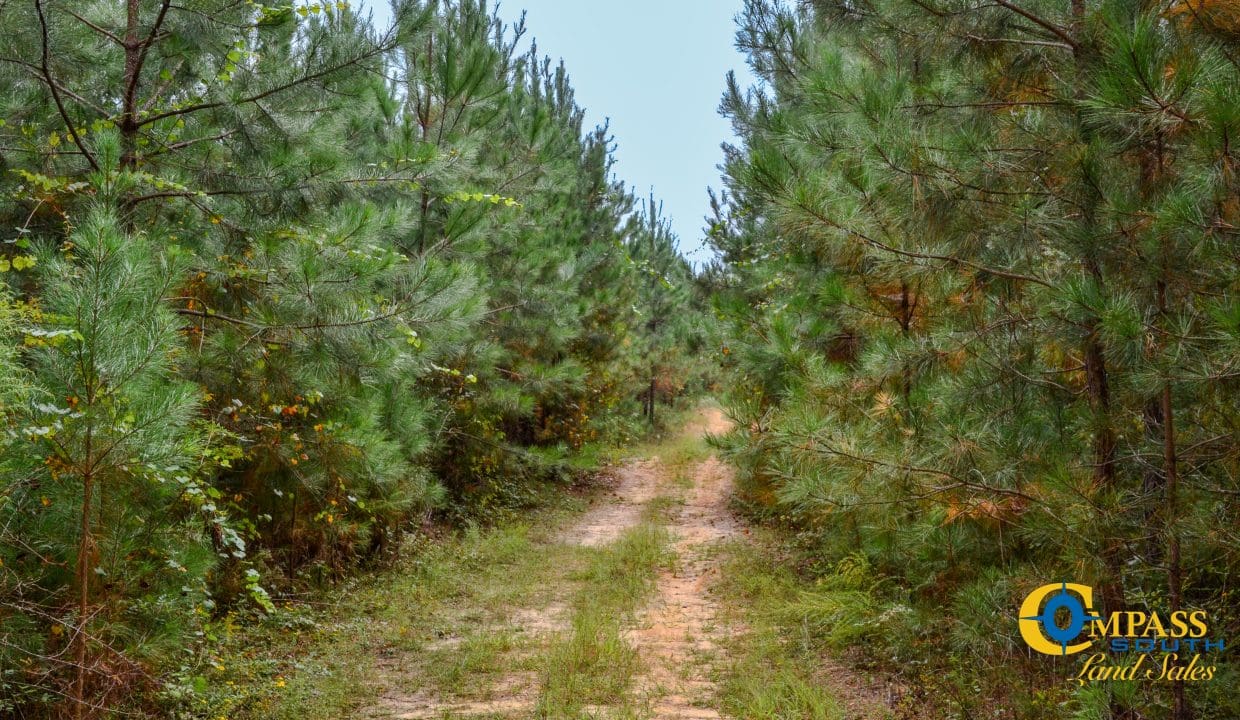 Arrowhead Hill Land for Sale in South Carolina-21