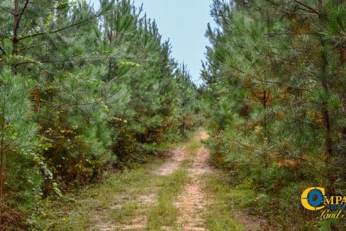 Arrowhead Hill Land for Sale in South Carolina-21