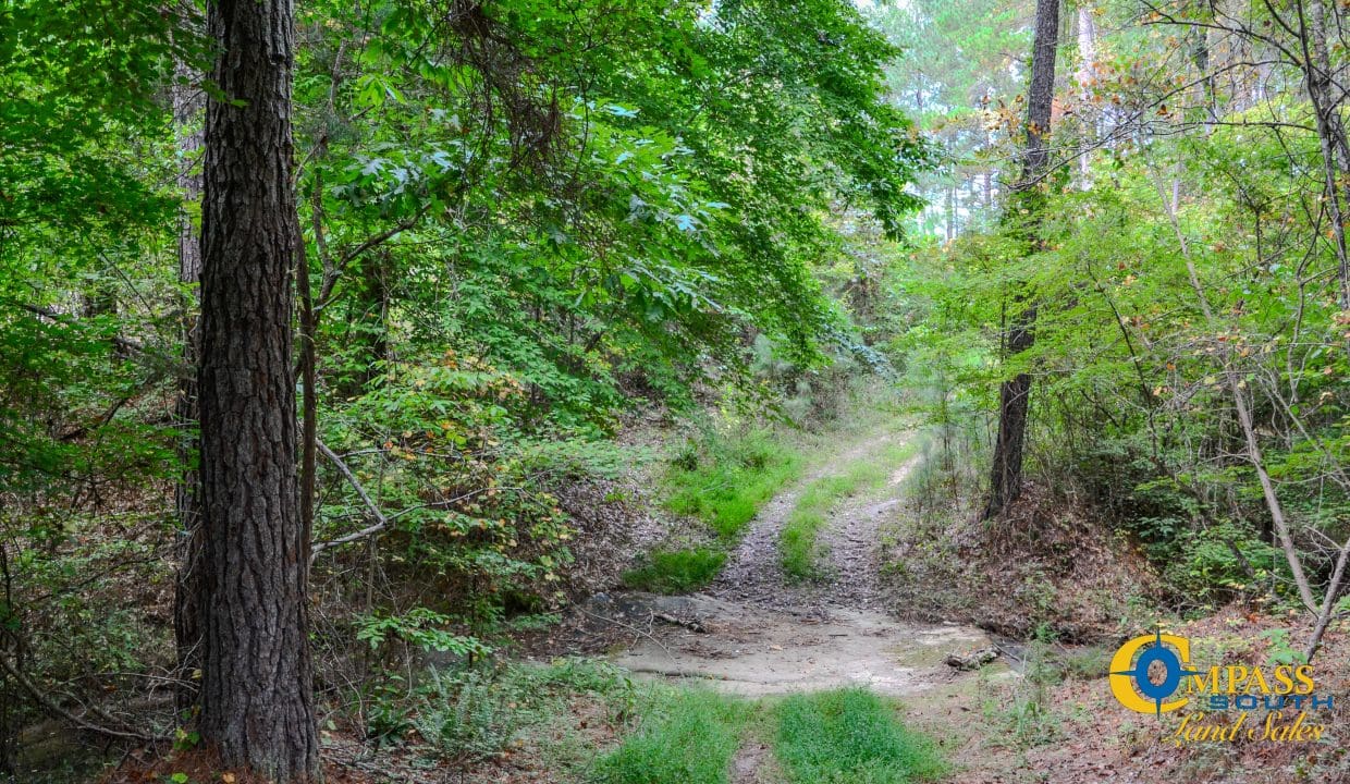 Arrowhead Hill Land for Sale in South Carolina-23