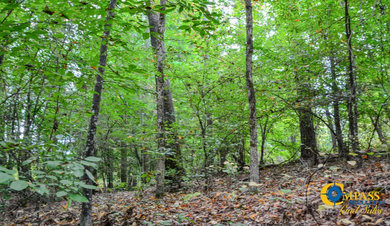 Arrowhead Hill Land for Sale in South Carolina-27