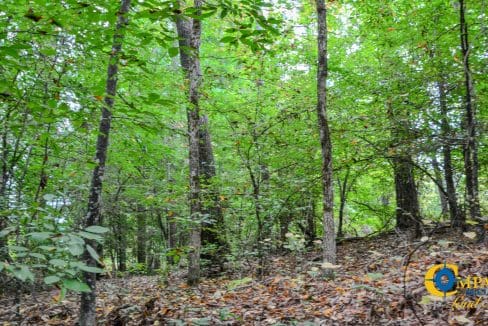 Arrowhead Hill Land for Sale in South Carolina-27