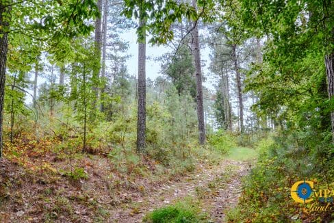 Arrowhead Hill Land for Sale in South Carolina-28