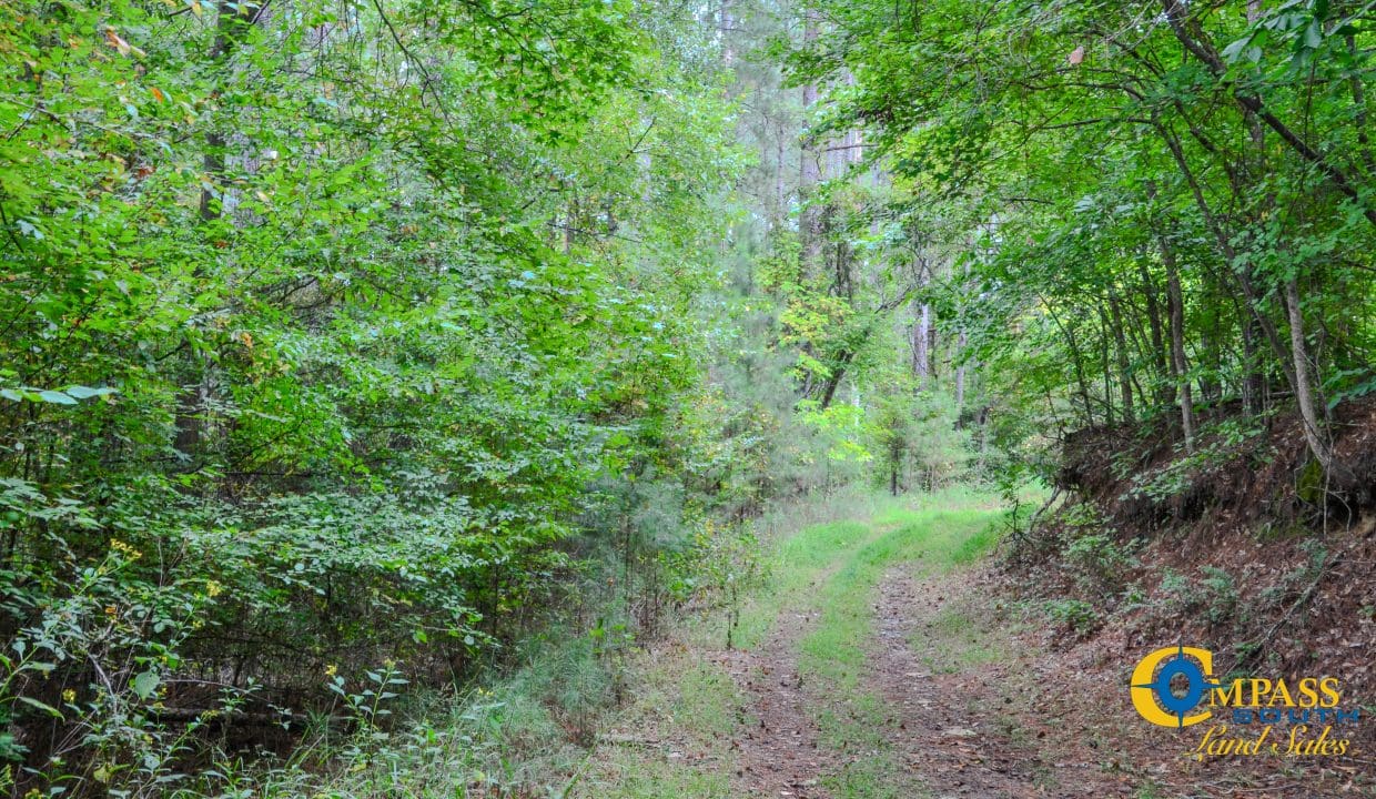 Arrowhead Hill Land for Sale in South Carolina-31