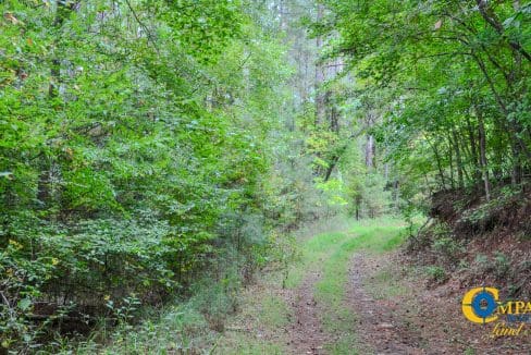 Arrowhead Hill Land for Sale in South Carolina-31