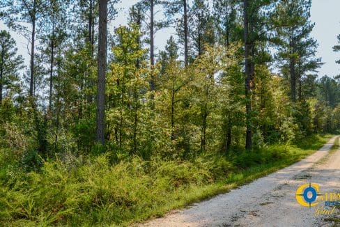 Asbury Road Central Land for Sale in South Carolina-5