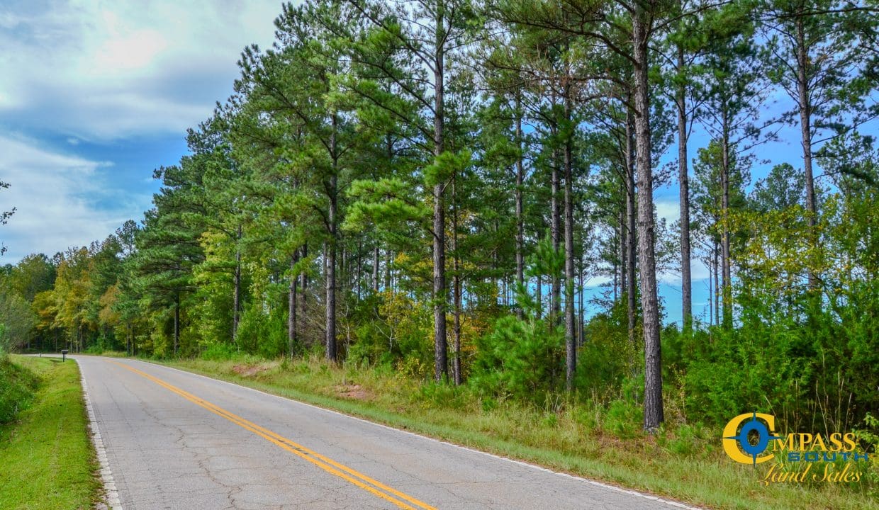 Asbury Road East Land for Sale in South Carolina-01