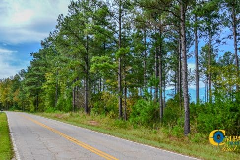 Asbury Road East Land for Sale in South Carolina-01