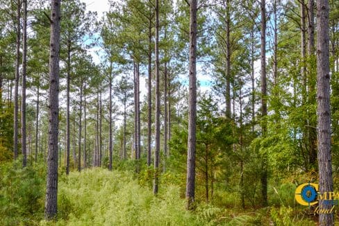 Asbury Road East Land for Sale in South Carolina-07