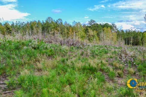 Asbury Road East Land for Sale in South Carolina-10