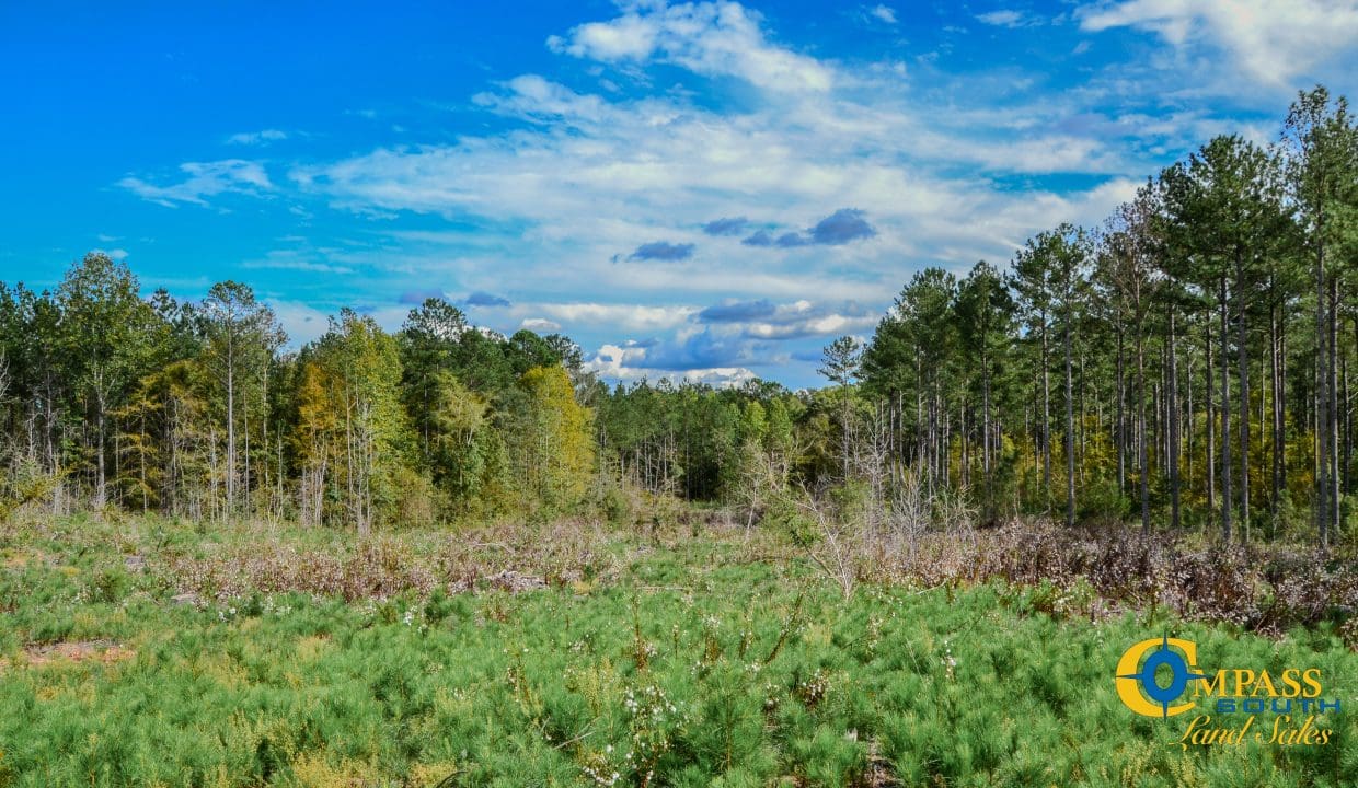 Asbury Road East Land for Sale in South Carolina-12