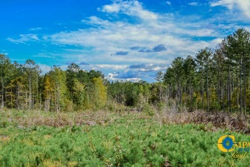 Asbury Road East Land for Sale in South Carolina-12