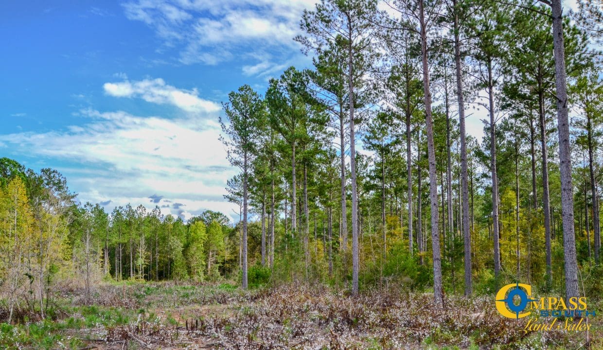 Asbury Road East Land for Sale in South Carolina-16