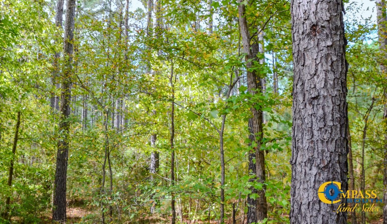 Asbury Road West Land for Sale in South Carolina-10