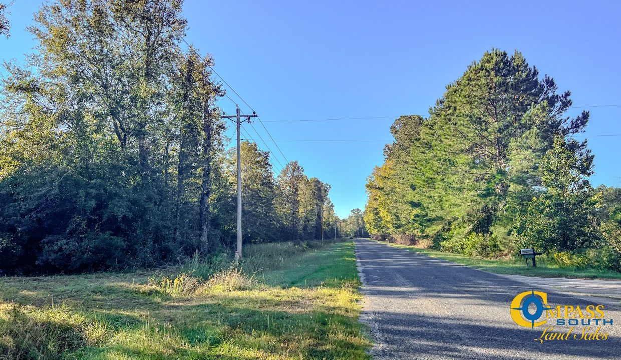 Beach Tract Land for Sale in South Carolina-10