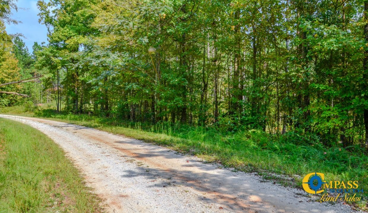 Crocker Branch Land for Sale in South Carolina-22