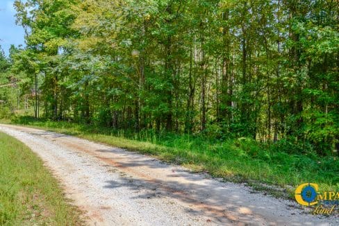 Crocker Branch Land for Sale in South Carolina-22