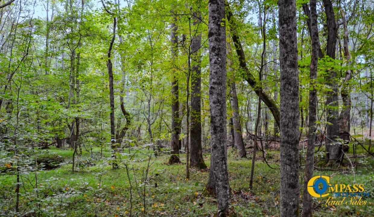 Crocker Branch Land for Sale in South Carolina-23