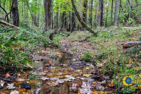 Crocker Branch Land for Sale in South Carolina-26