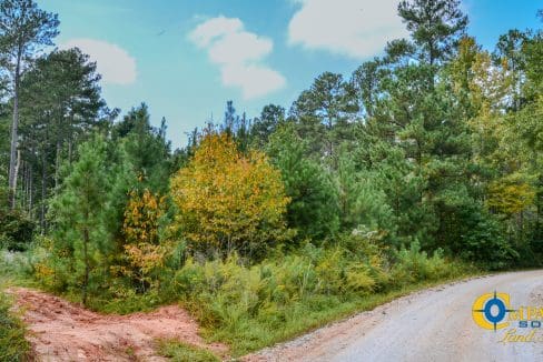 Dawkins Road Central Land for Sale in South Carolina-02