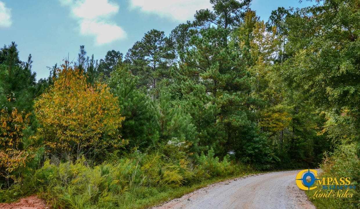 Dawkins Road Central Land for Sale in South Carolina-03