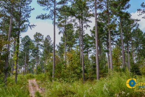 Dawkins Road Central Land for Sale in South Carolina-05