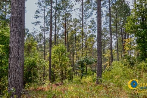 Dawkins Road Central Land for Sale in South Carolina-07