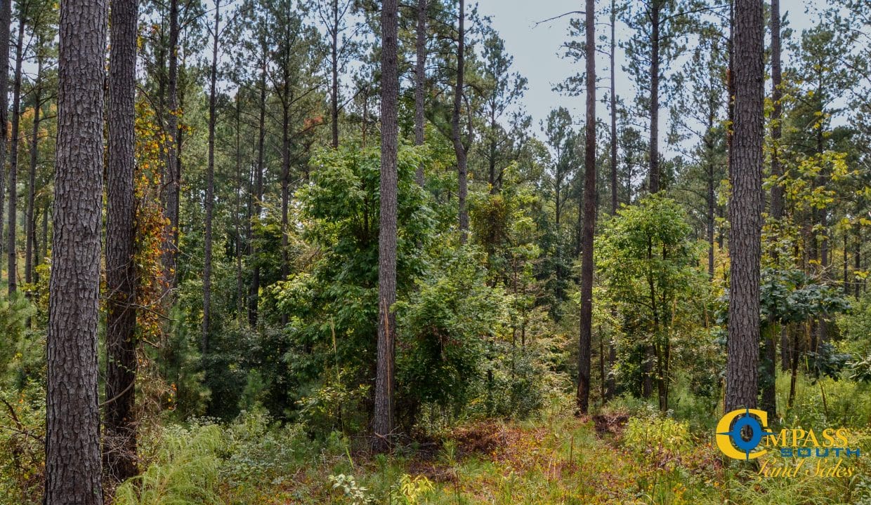 Dawkins Road Central Land for Sale in South Carolina-08