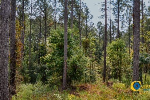 Dawkins Road Central Land for Sale in South Carolina-08