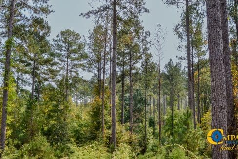 Dawkins Road Central Land for Sale in South Carolina-09