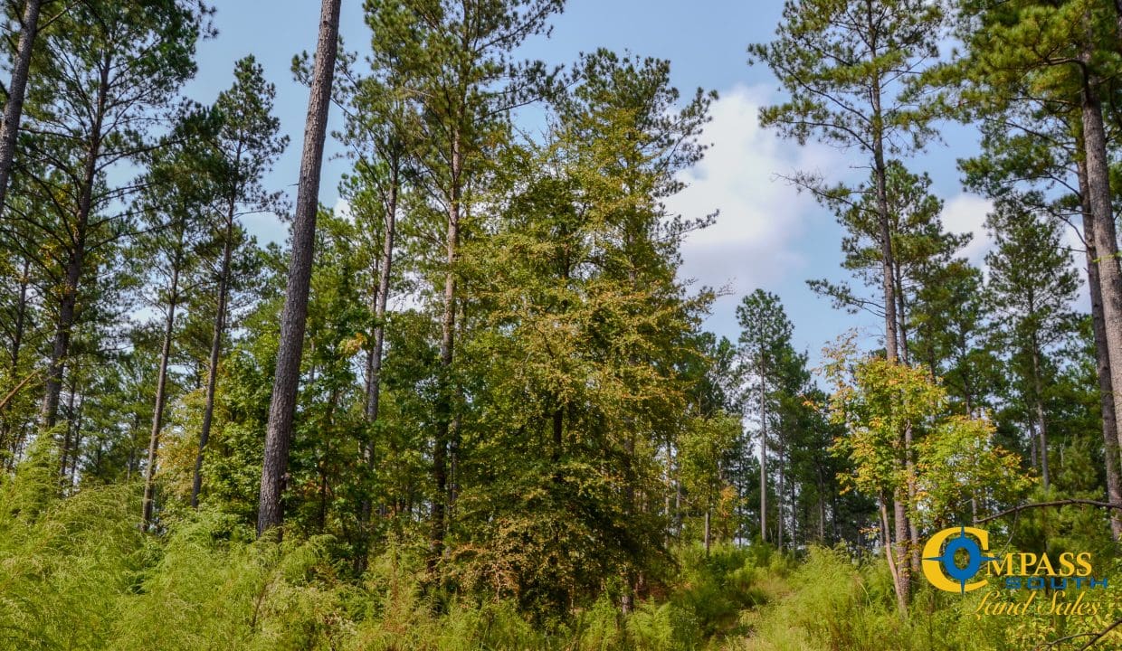 Dawkins Road Central Land for Sale in South Carolina-10