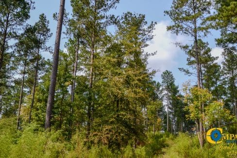 Dawkins Road Central Land for Sale in South Carolina-10