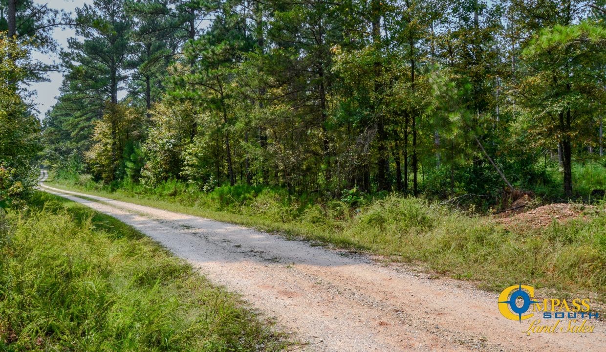 Dawkins Road South Land for Sale in South Carolina-3