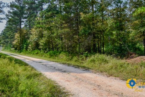 Dawkins Road South Land for Sale in South Carolina-3