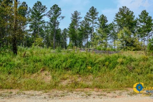 Dawkins Road South Land for Sale in South Carolina-4