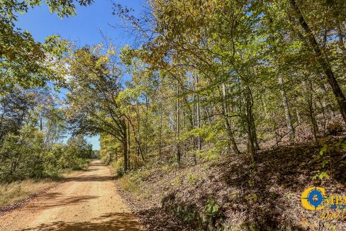 Forrester Road Ridge Tennessee Land for Sale-01