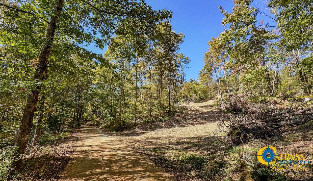 Forrester Road Ridge Tennessee Land for Sale-03