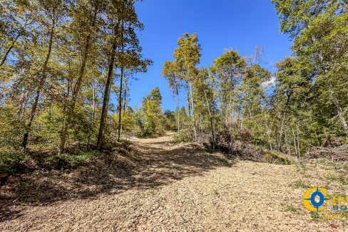 Forrester Road Ridge Tennessee Land for Sale-04