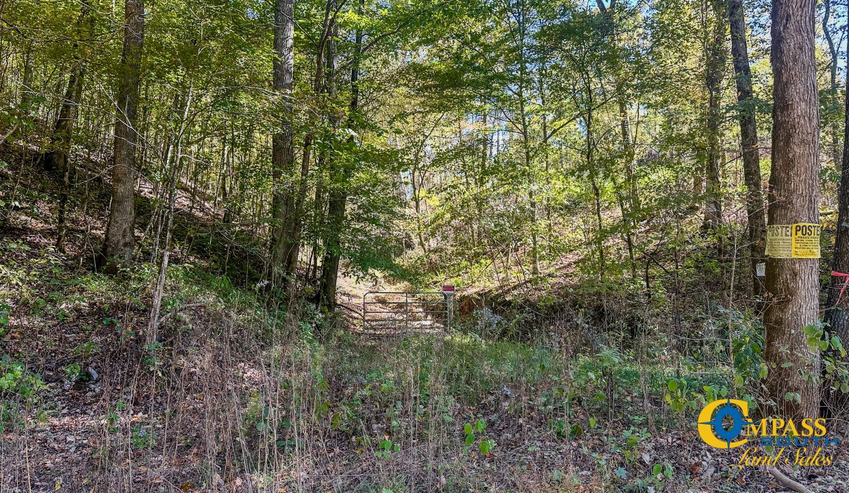 Forrester Road Ridge Tennessee Land for Sale-16