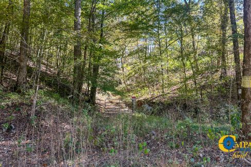 Forrester Road Ridge Tennessee Land for Sale-16