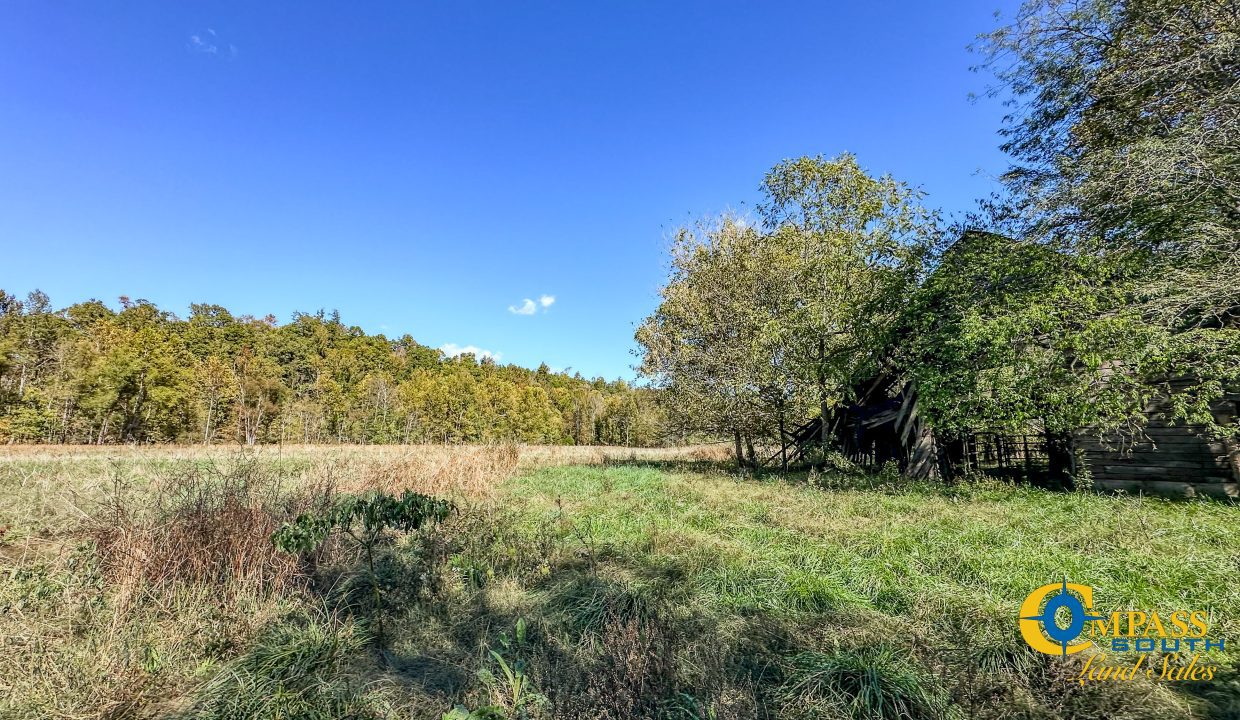 Forrester Road Ridge Tennessee Land for Sale-23