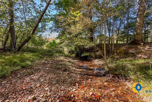 Forrester Road Ridge Tennessee Land for Sale-27