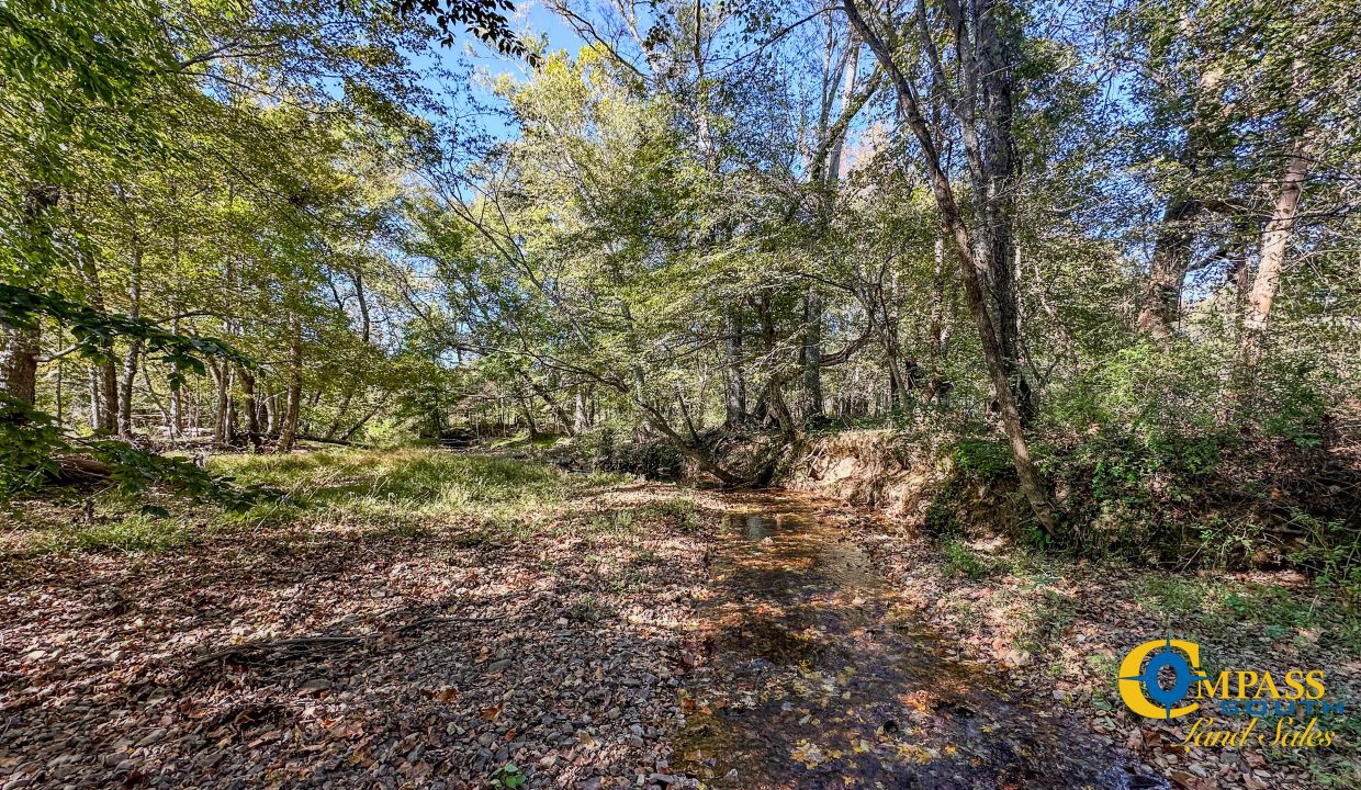 Forrester Road Ridge Tennessee Land for Sale-30