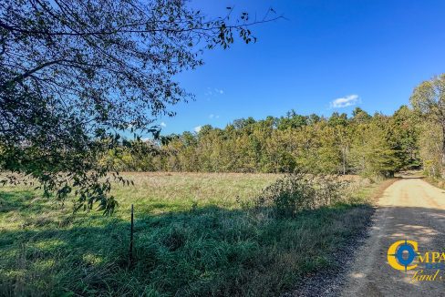 Forrester Road Ridge Tennessee Land for Sale-37