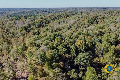 Forrester Road Ridge Tennessee Land for Sale-39