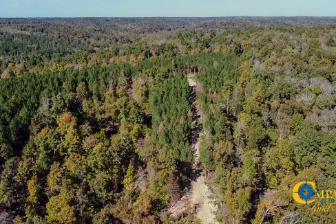 Forrester Road Ridge Tennessee Land for Sale-41