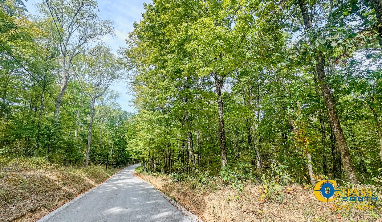 Hurricane Creek Land for Sale in Tennessee-01