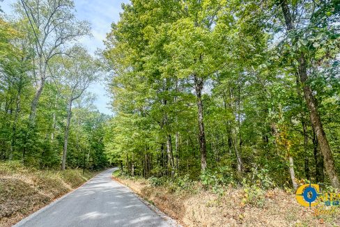 Hurricane Creek Land for Sale in Tennessee-01