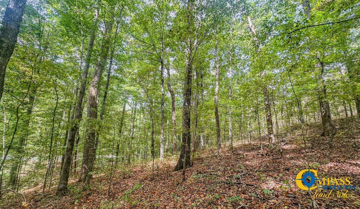 Hurricane Creek Land for Sale in Tennessee-05