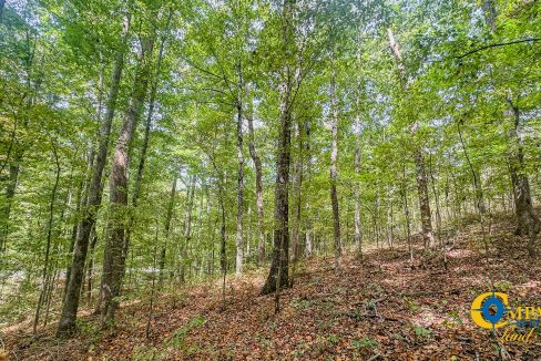 Hurricane Creek Land for Sale in Tennessee-05