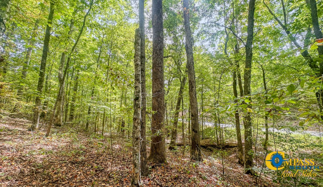 Hurricane Creek Land for Sale in Tennessee-06